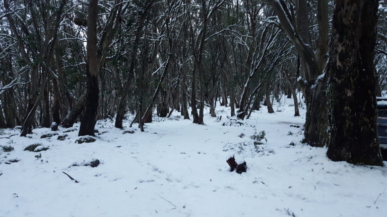 Read more about the article The Victorian High Country – An Epic Trip in 10 Days Part 1