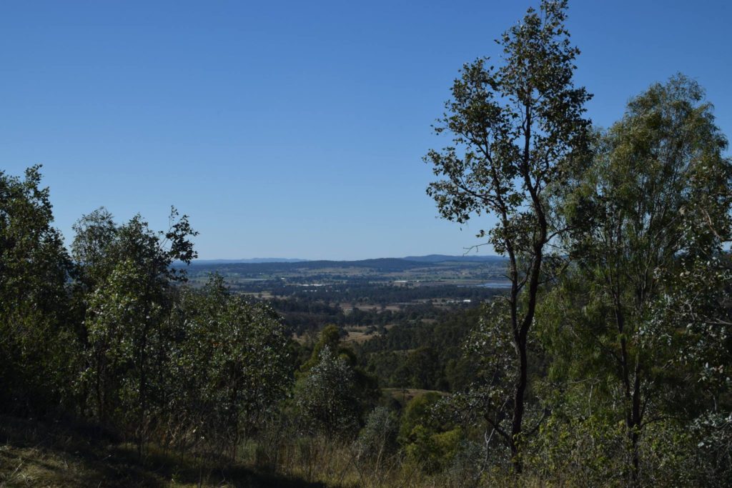 Swan Gully Park
