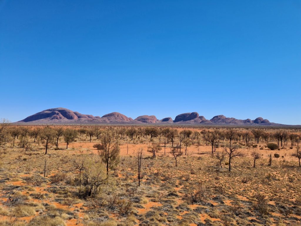Blue Skies & Red Dirt